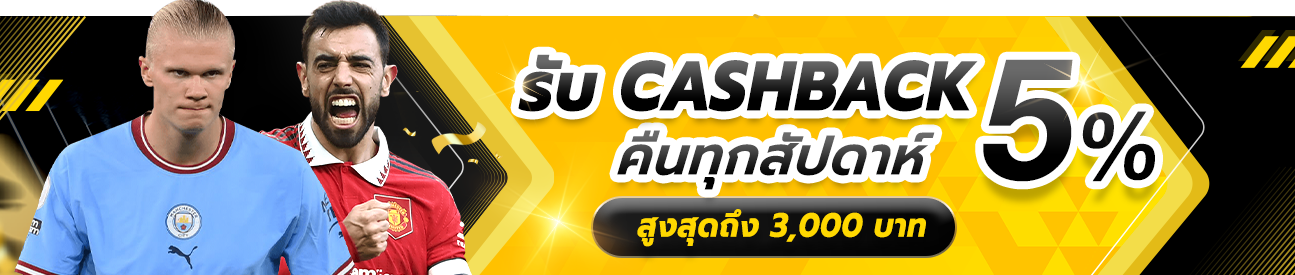 คืนยอดเสีย 5%